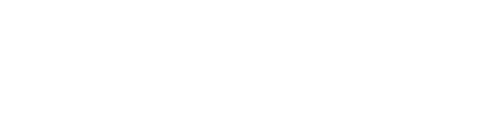 Logo FE