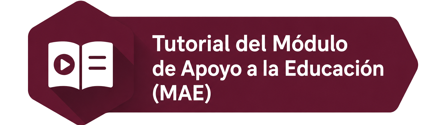 Instructivo MAE